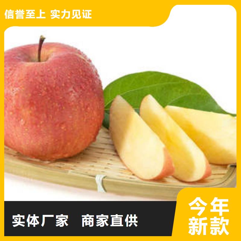 【紅富士蘋果紅富士蘋果產地同行低價】同城供應商