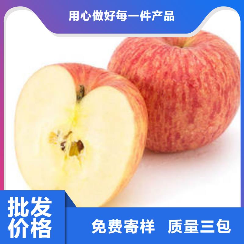紅富士蘋果-蘋果種植基地產品性能現貨批發