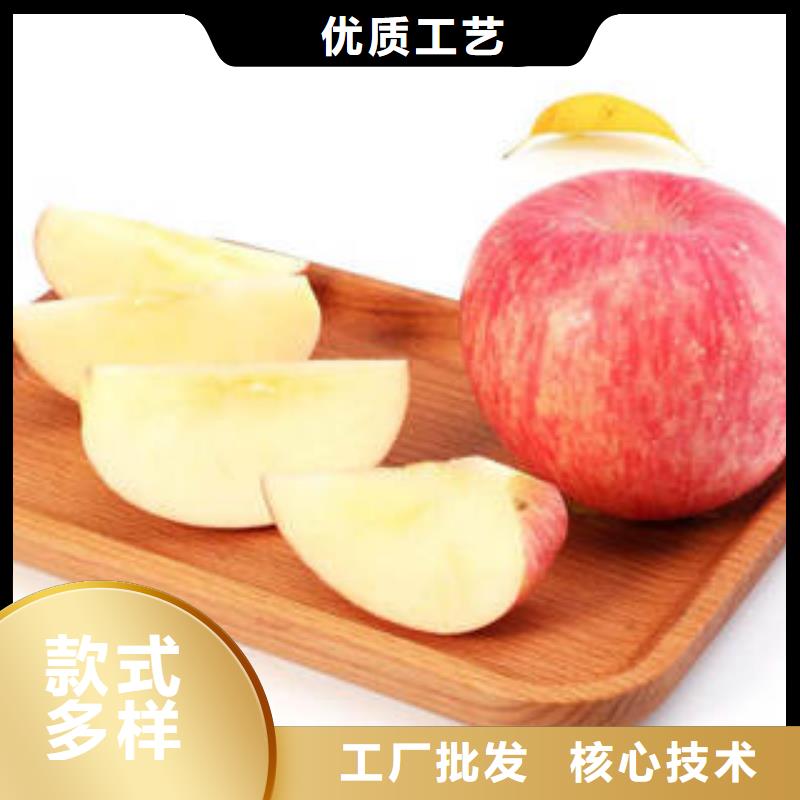 紅富士蘋果嘎啦蘋果廠誠信經營品質保障價格合理