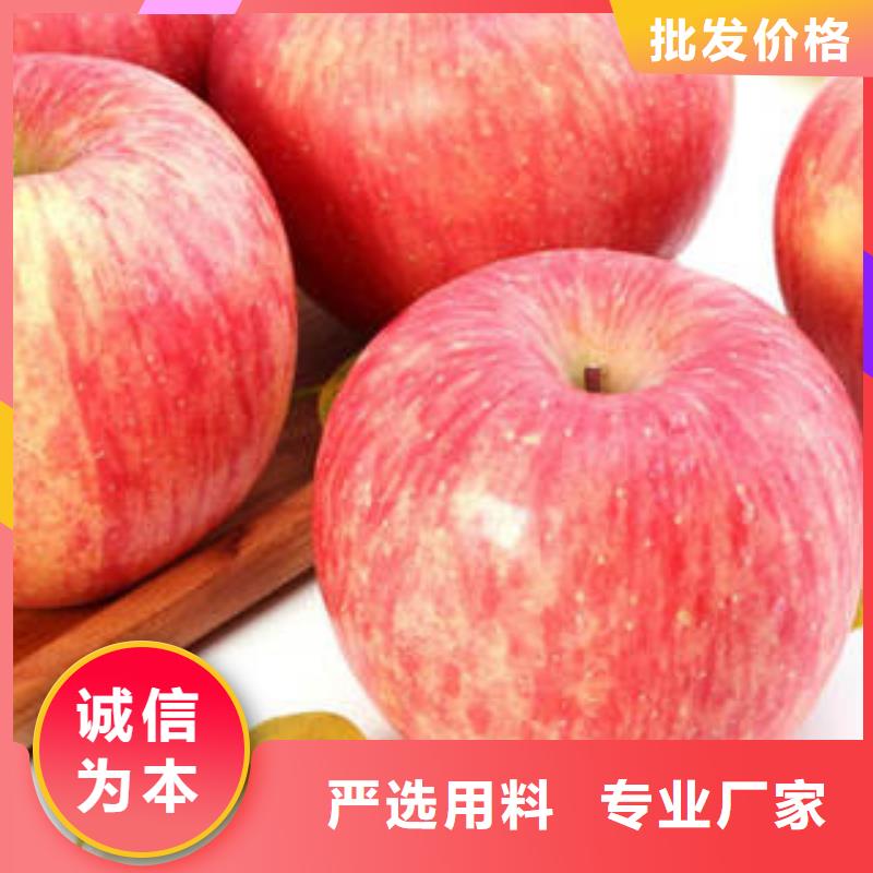 紅富士蘋果_蘋果種植基地材質實在當地生產廠家