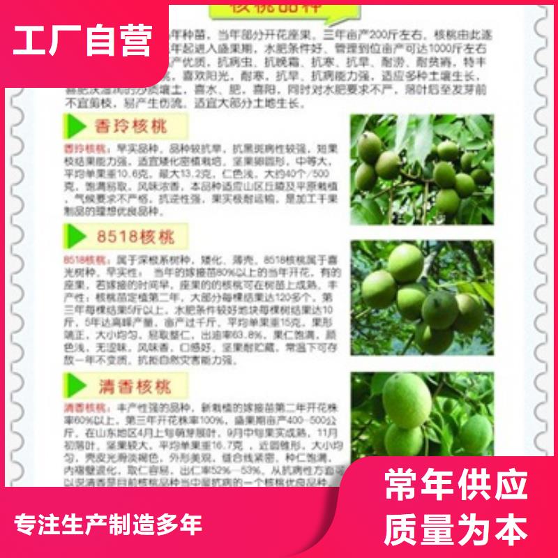 【核桃苗】山楂苗产品细节【本地】制造商