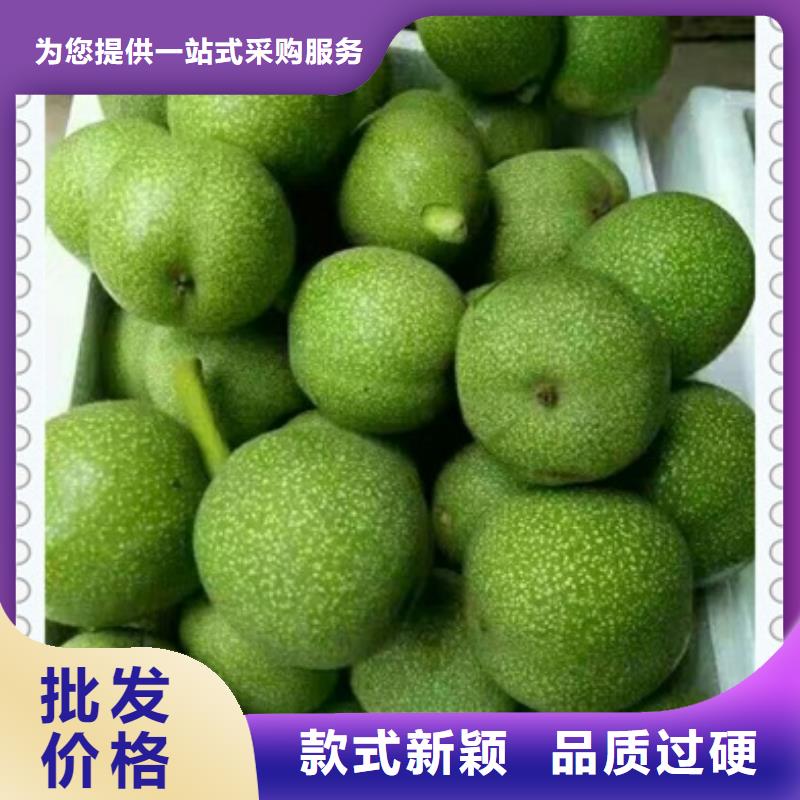 【核桃苗】_梨樹苗專業(yè)設(shè)計本地公司