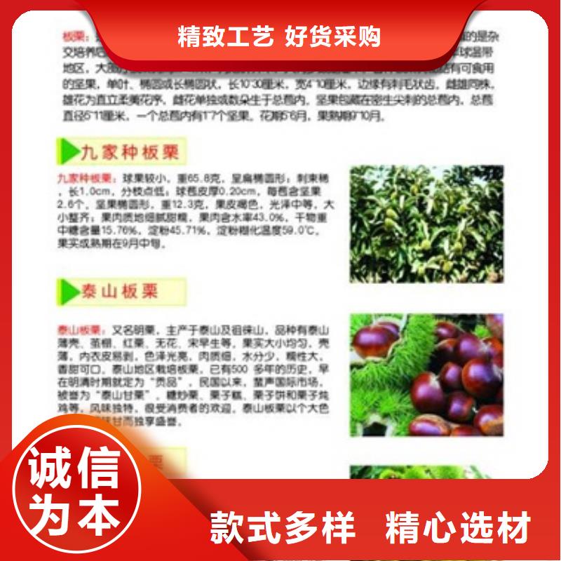 板栗苗蓝莓苗用品质说话<本地>品牌