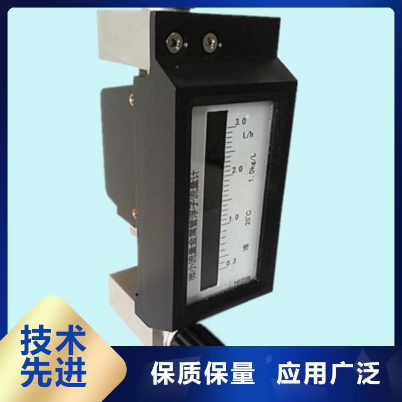 微小流量計吹掃裝置的簡單介紹快速發貨