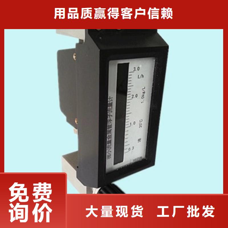 微小流量計-【吹掃裝置】標準工藝廠家
