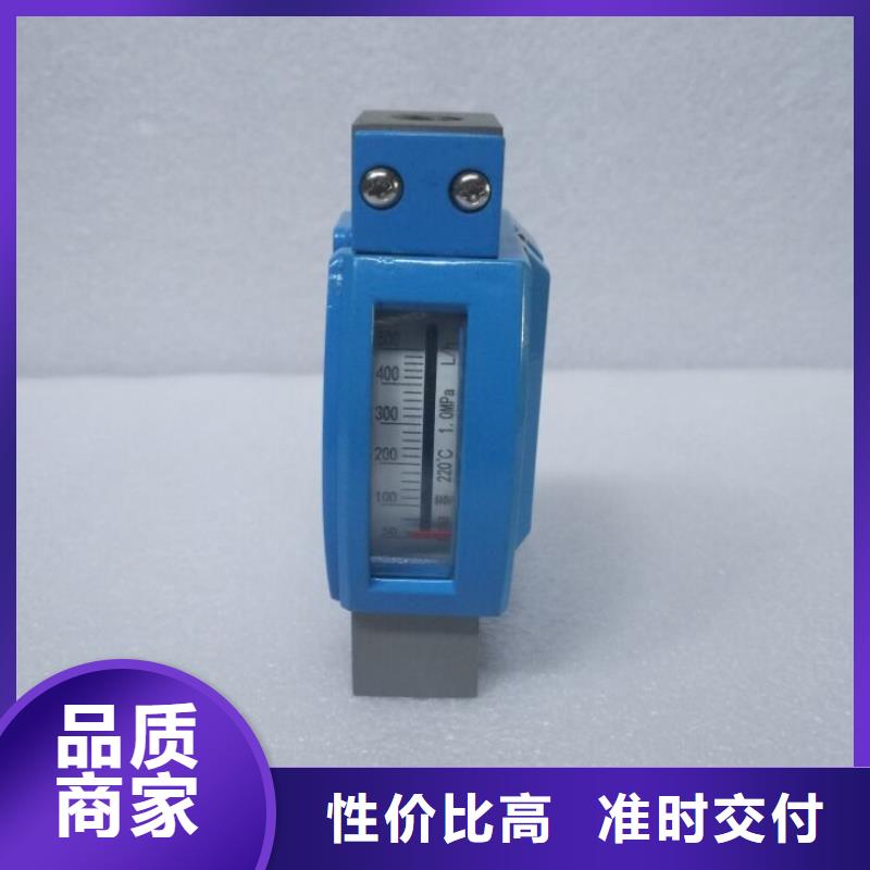 微小流量計【紅外探頭】生產經驗豐富產品優勢特點