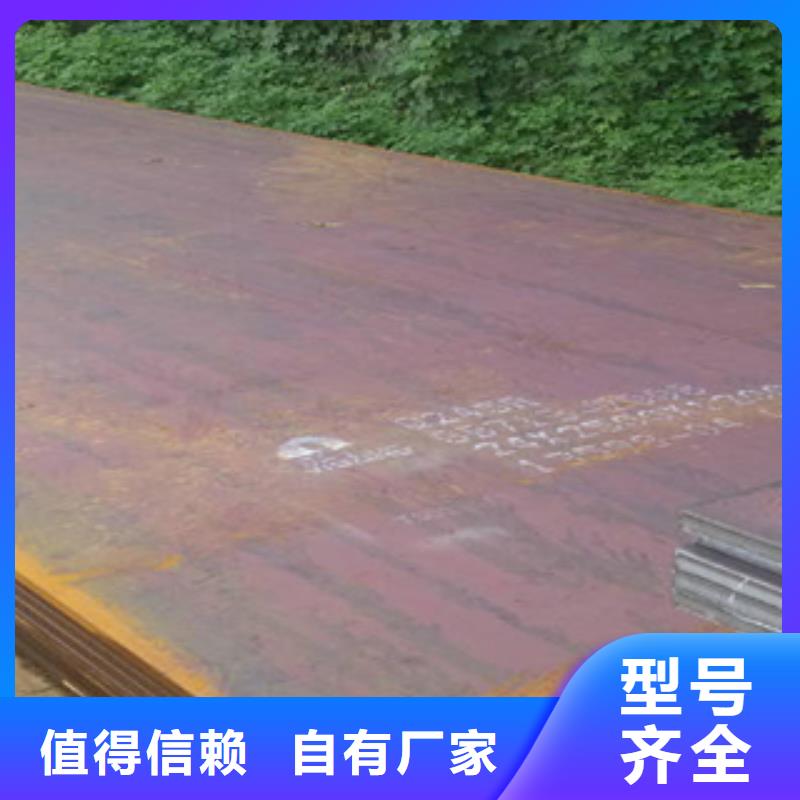 容器鋼板,合金板真正讓利給買家用心做品質