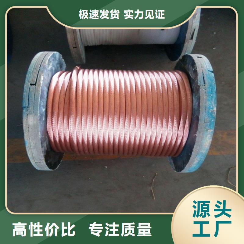 銅絞線-紫銅帶大量現貨供應優良材質
