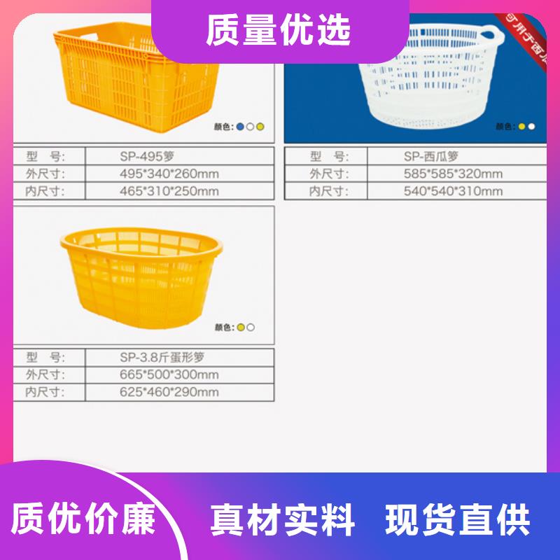 塑料筐口碑好實力強同城服務商