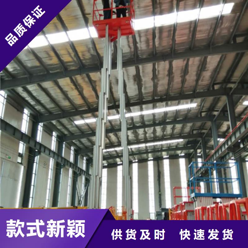 高空作業(yè)平臺傳菜機優(yōu)質(zhì)工藝本地供應商