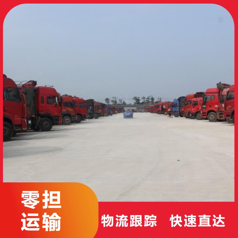 柳州物流公司乐从到柳州轿车运输公司宠物托运