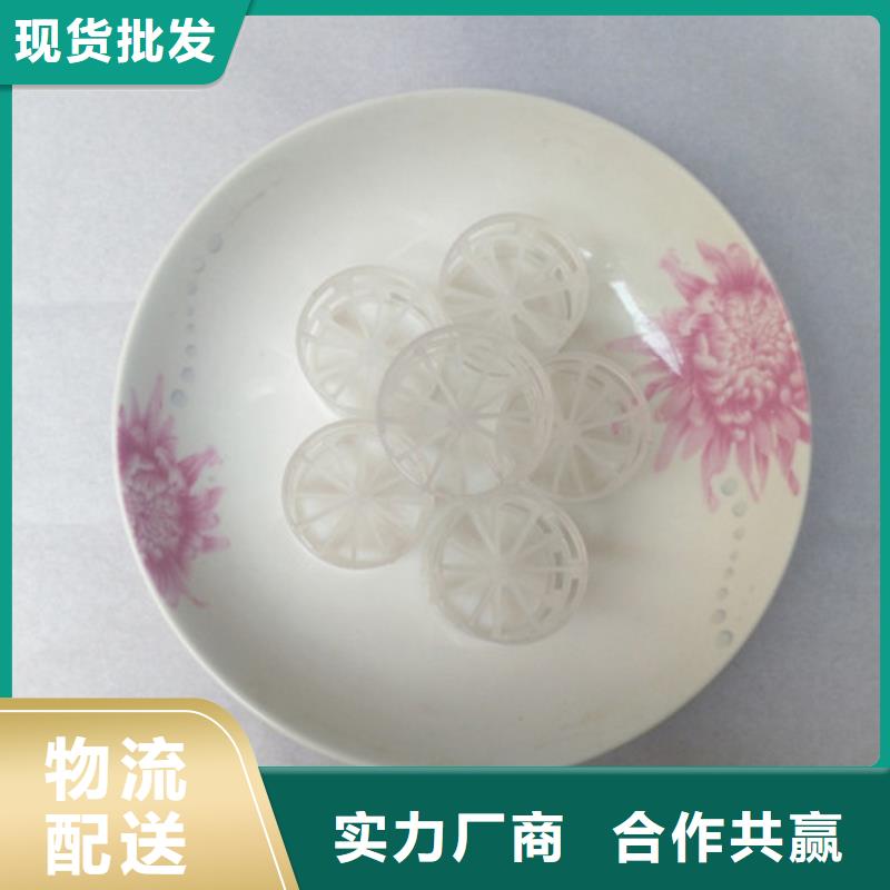 鮑爾環填料和多面空心球源頭廠家直銷