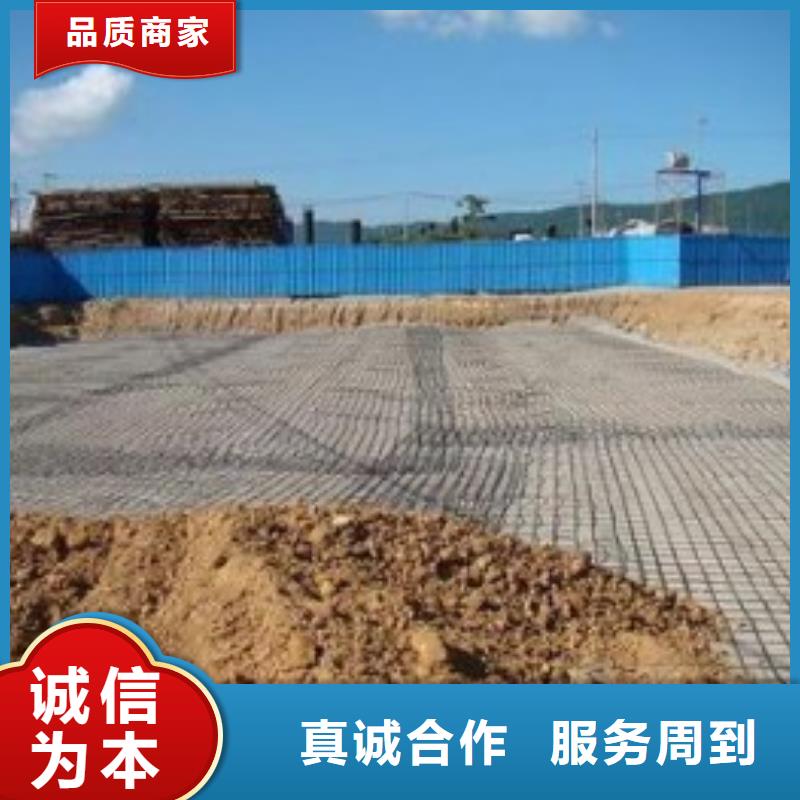 【鋼塑土工格柵土工HDPE膜直銷廠家】本地制造商