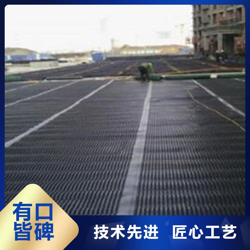 雙向塑料土工格柵-PP焊接土工格柵型號全價格低當地生產廠家