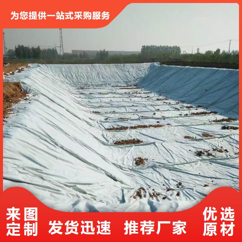 ?復合土工膜-PP焊接土工格柵按需定做當地貨源