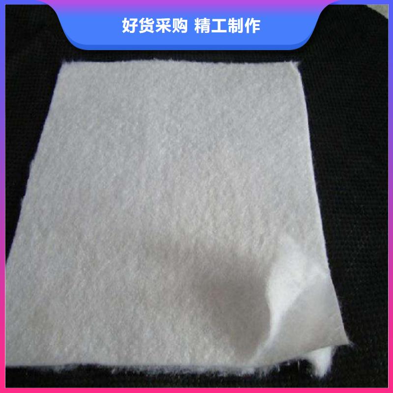 復合土工膜PVC防水卷材實力商家供貨穩定批發商
