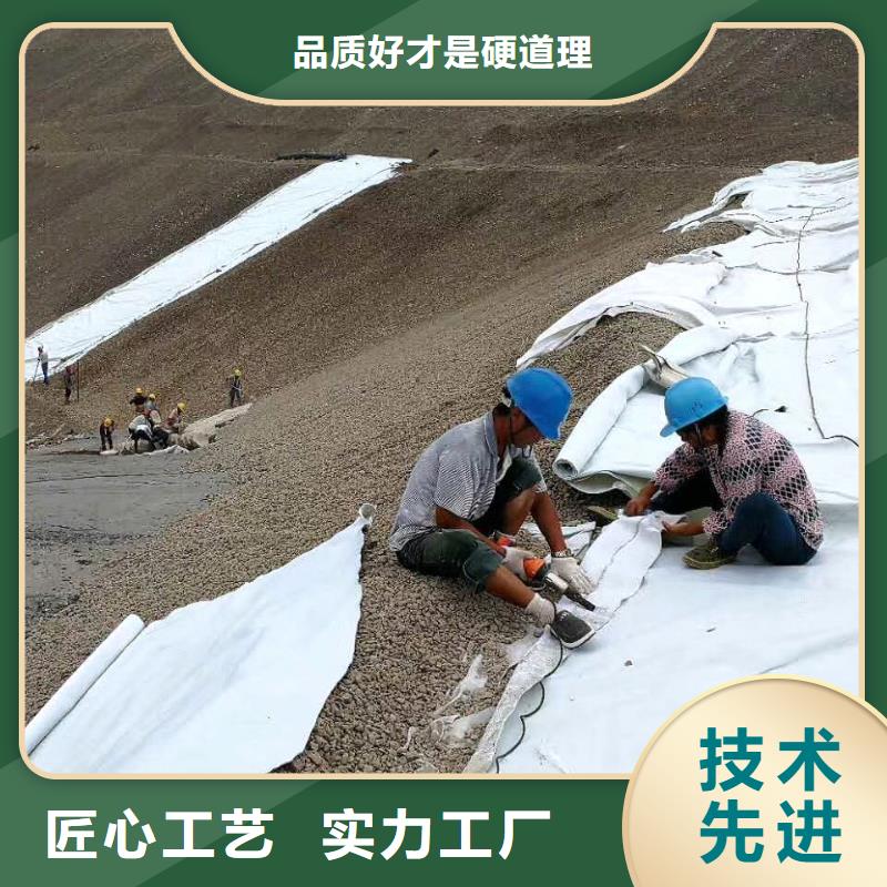復合土工膜PP焊接土工格柵細節決定品質品質可靠