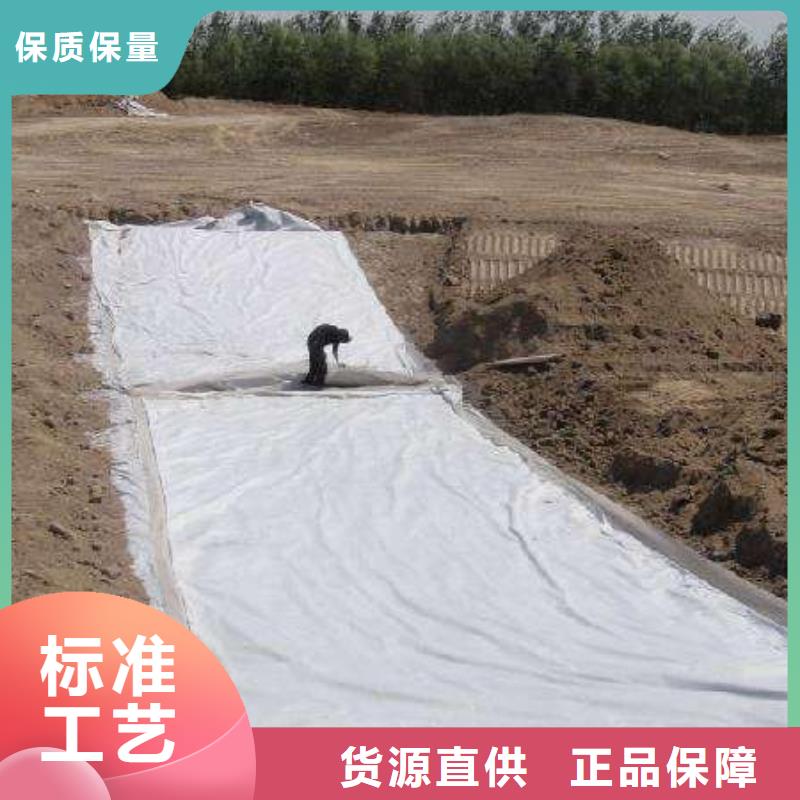 【復合土工膜】-滌綸土工格柵正規廠家本地經銷商
