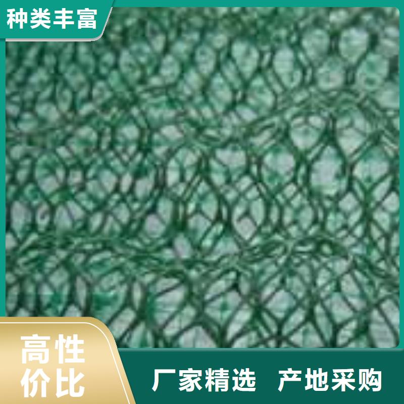 三維植被網,防塵布貨源直銷工期短發貨快