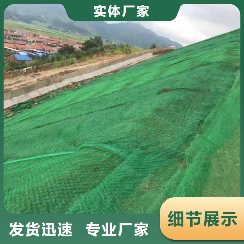 三維植被網膨潤土防水毯現貨采購當地公司