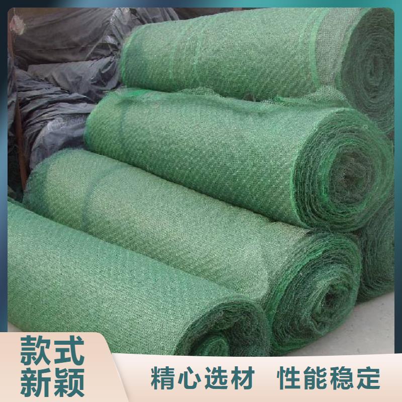 三維植被網(wǎng)雙向塑料土工格柵廠家規(guī)格全一個起售