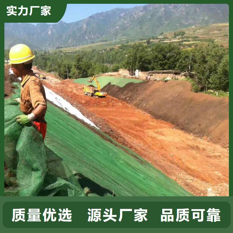 【三維植被網TPO防水卷材支持大批量采購】經久耐用