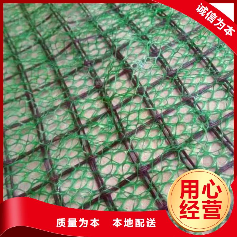 三維植被網(wǎng)-PP焊接土工格柵發(fā)貨迅速滿足客戶所需