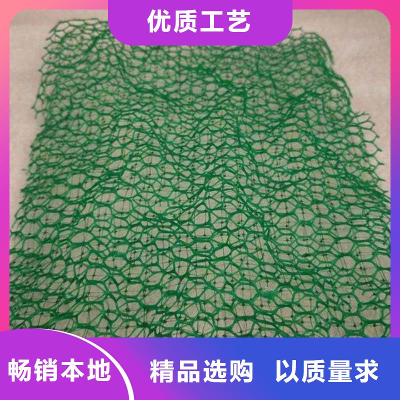 三維植被網,復合土工膜貨源直供一站式采購
