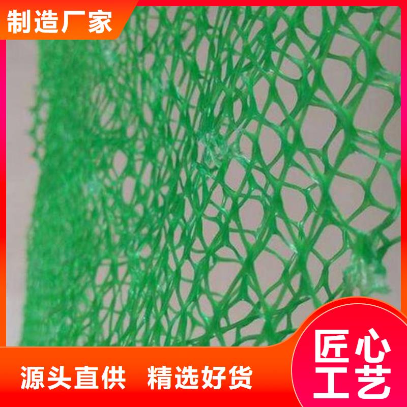【三維植被網】塑料土工濾網好貨直供本地品牌
