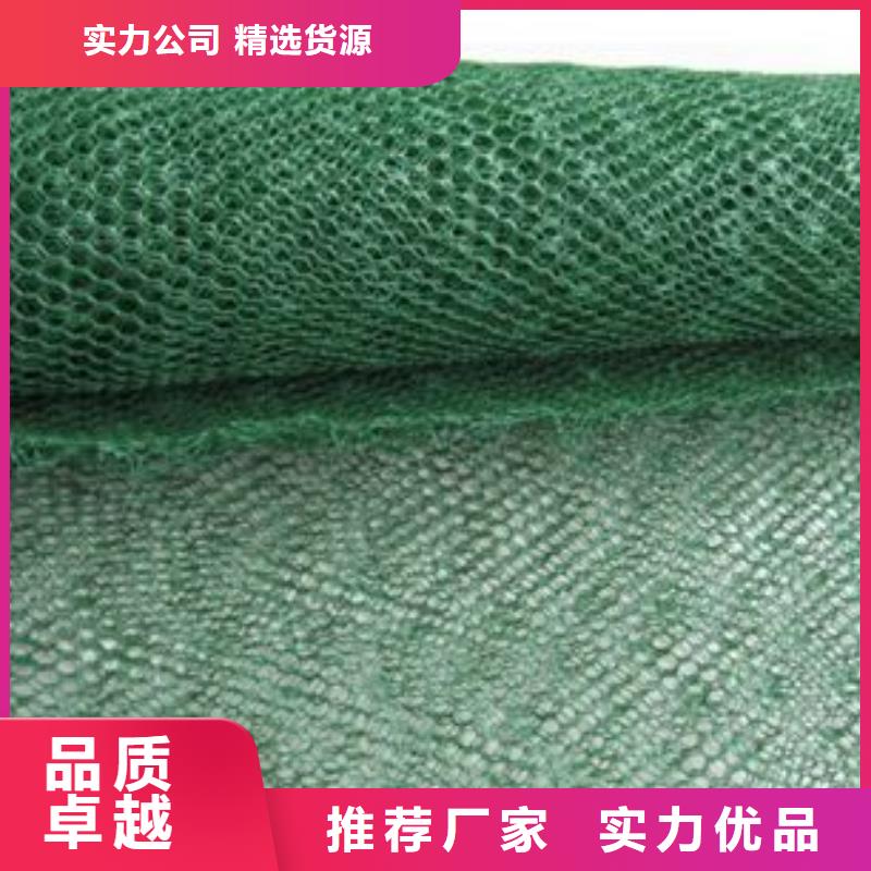三维植被网_PP焊接土工格栅一周内发货同城厂家