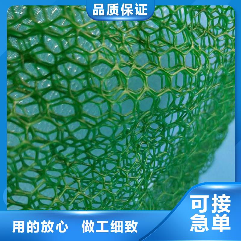 三維植被網土工布實力優品貨源報價
