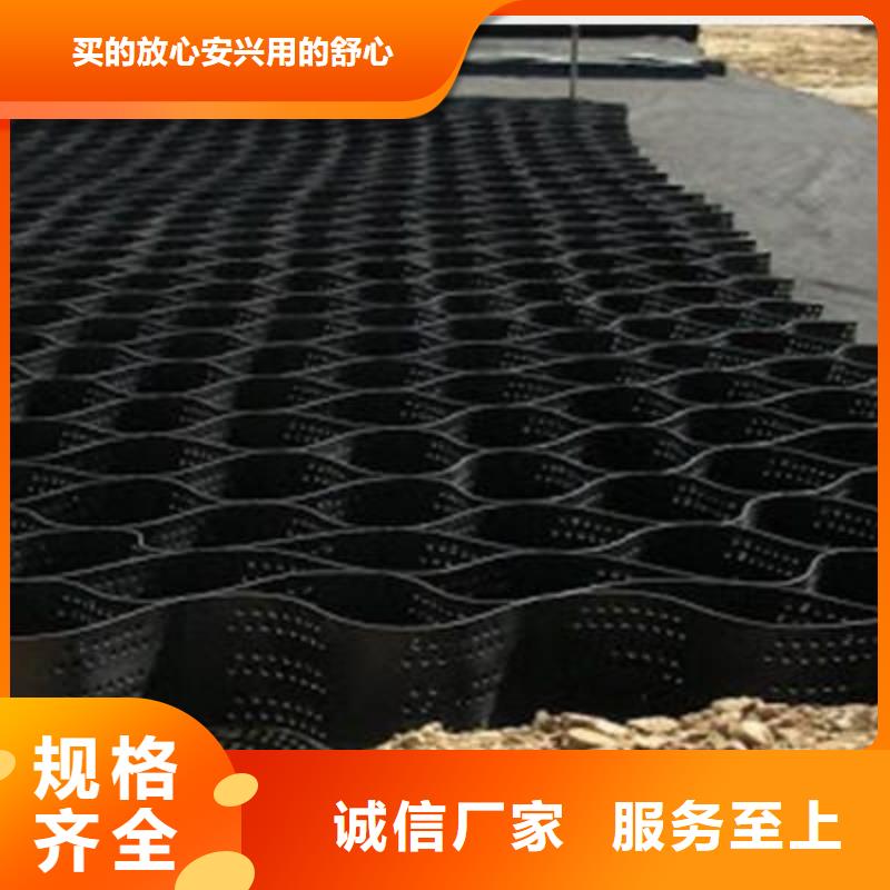 土工格室HDPE土工膜自主研發同城生產廠家