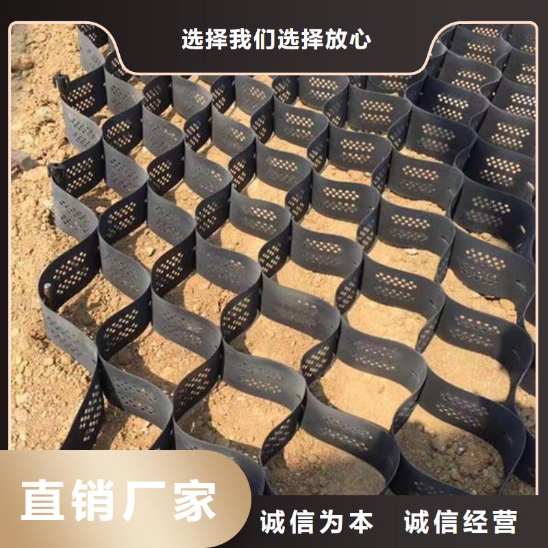 土工格室-PVC防水卷材敢與同行比質量售后無憂