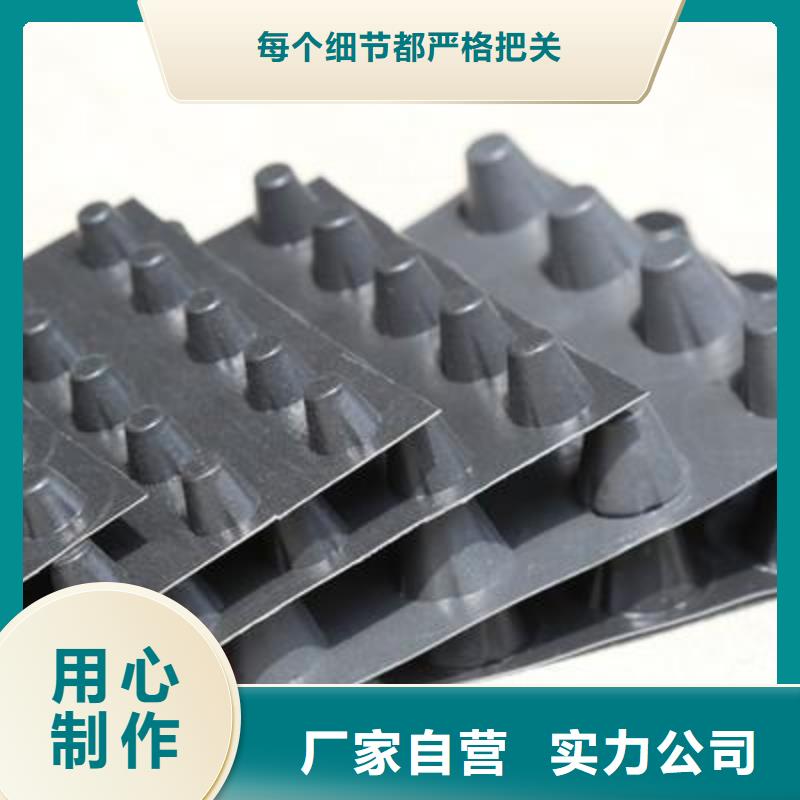 排水板【復合土工膜】誠信為本為您精心挑選