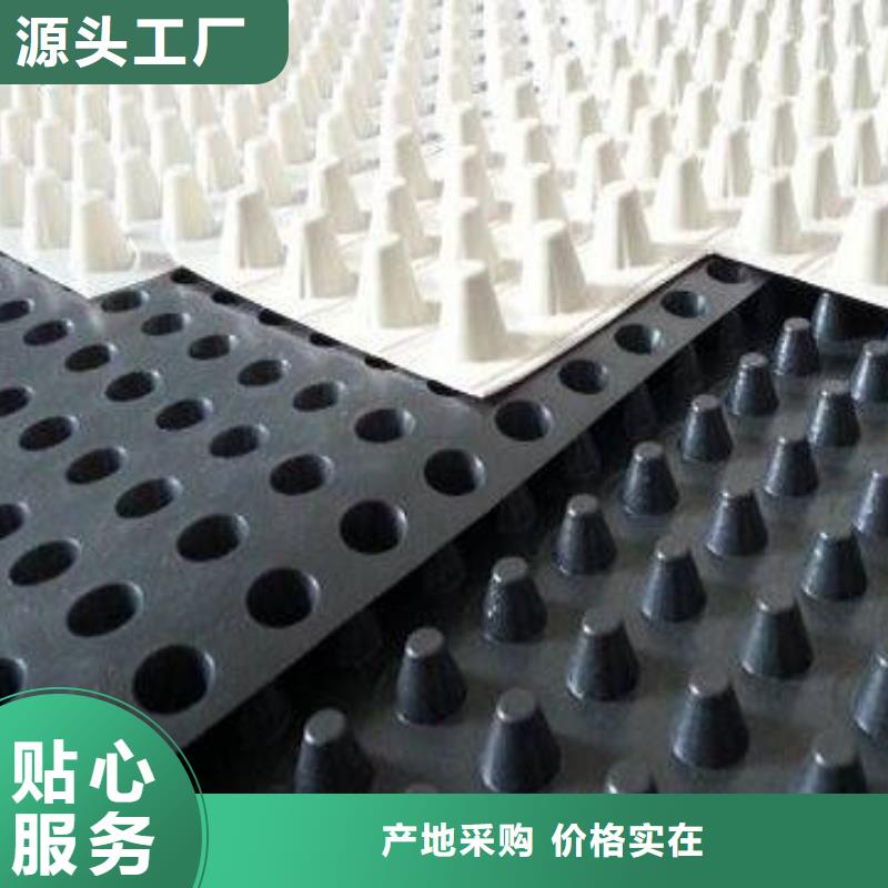【排水板雙向塑料土工格柵甄選好廠家】經久耐用