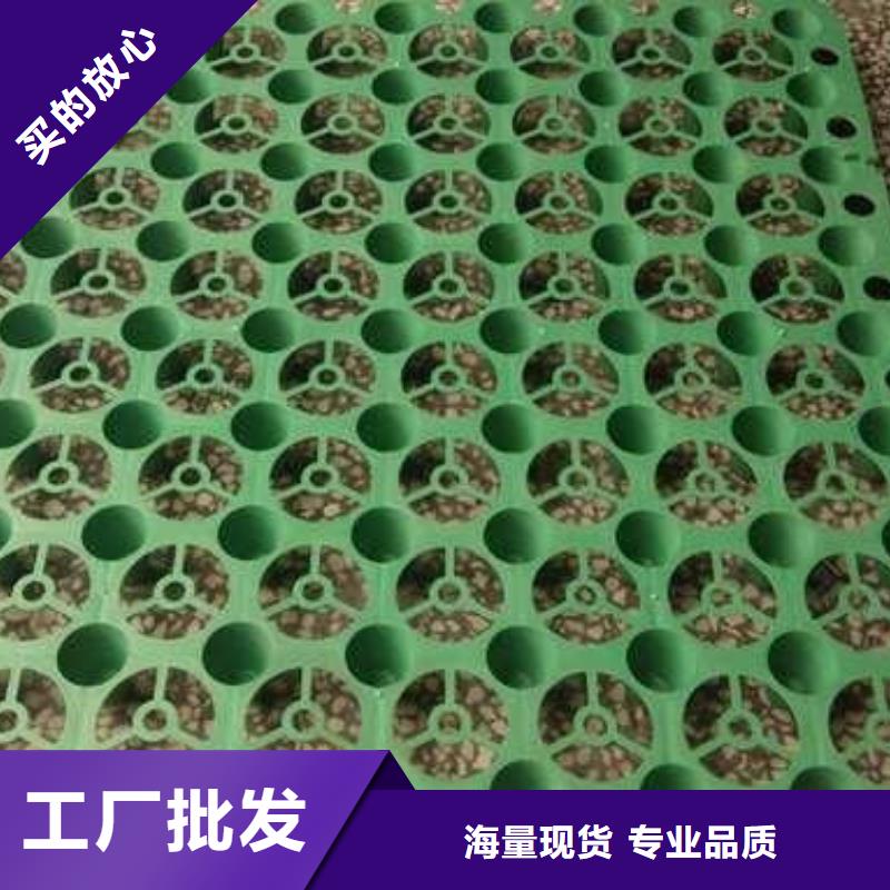 排水板三維土工網墊多年廠家可靠當地供應商
