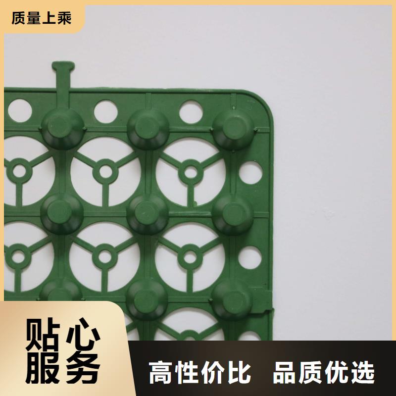 排水板塑料土工濾網出廠價一站式供應