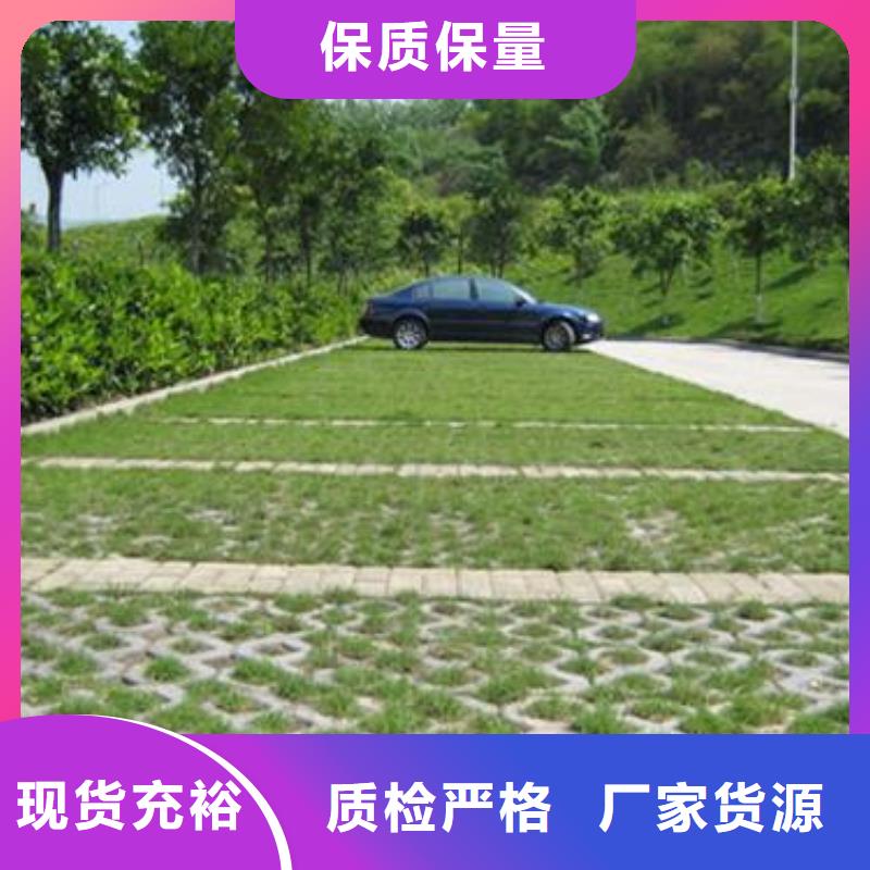 植草格滌綸土工格柵保質保量當地制造商