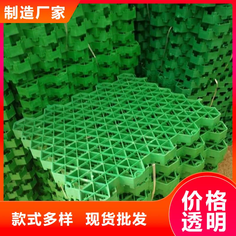 植草格PVC防水卷材通過檢測全品類現貨