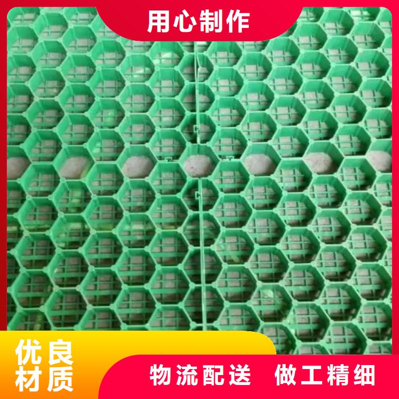 植草格-【PP焊接土工格柵】工廠自營(yíng)精工打造
