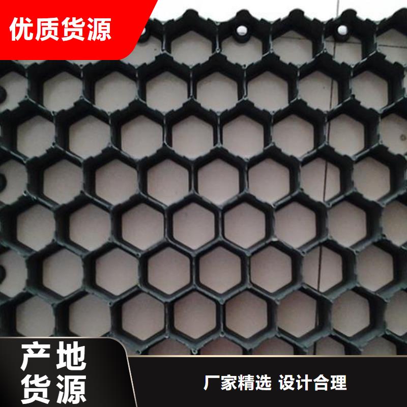 植草格-土工格室工廠直銷同城供應商