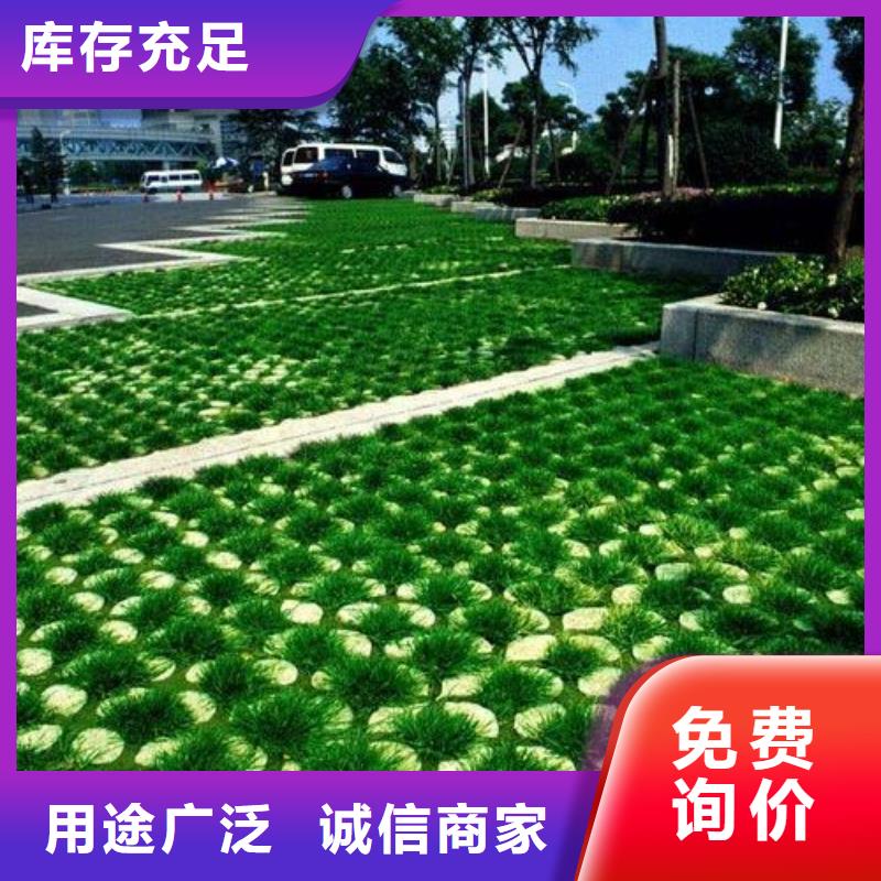 植草格土工格室來圖來樣定制經驗豐富品質可靠