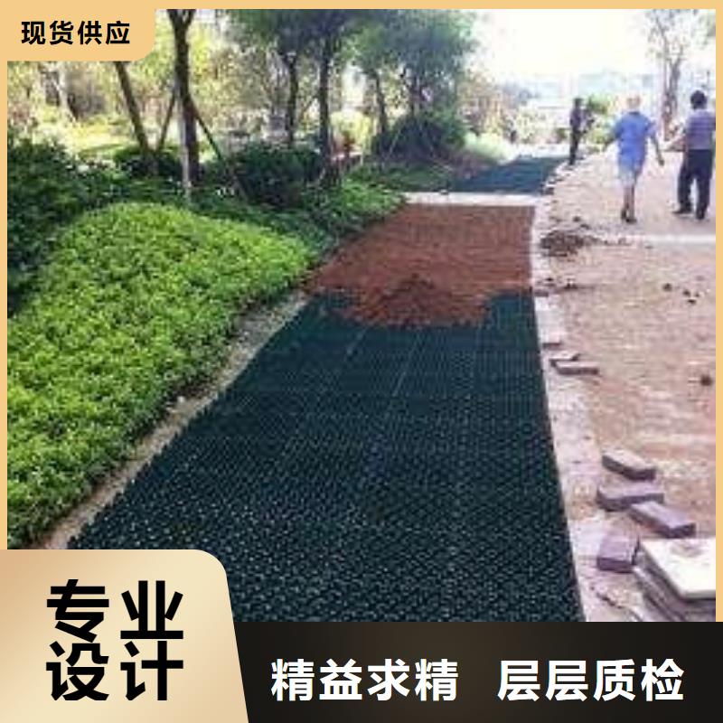 植草格三维植被网来图加工定制同城供应商