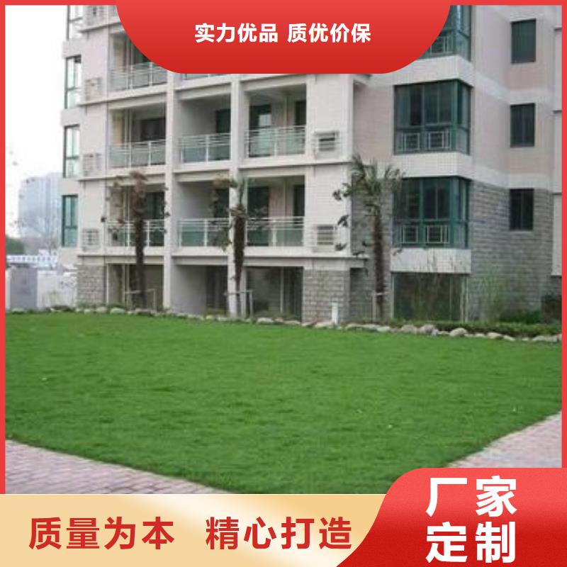 植草格土工布廠家新品產品細節