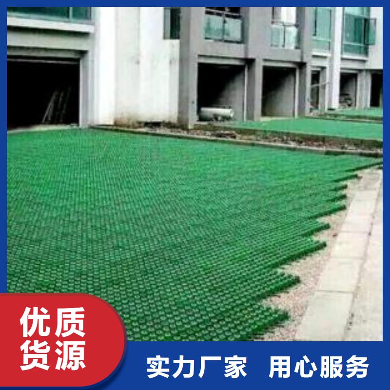【植草格】_凸結點鋼塑土工格柵卓越品質保障支持加工定制