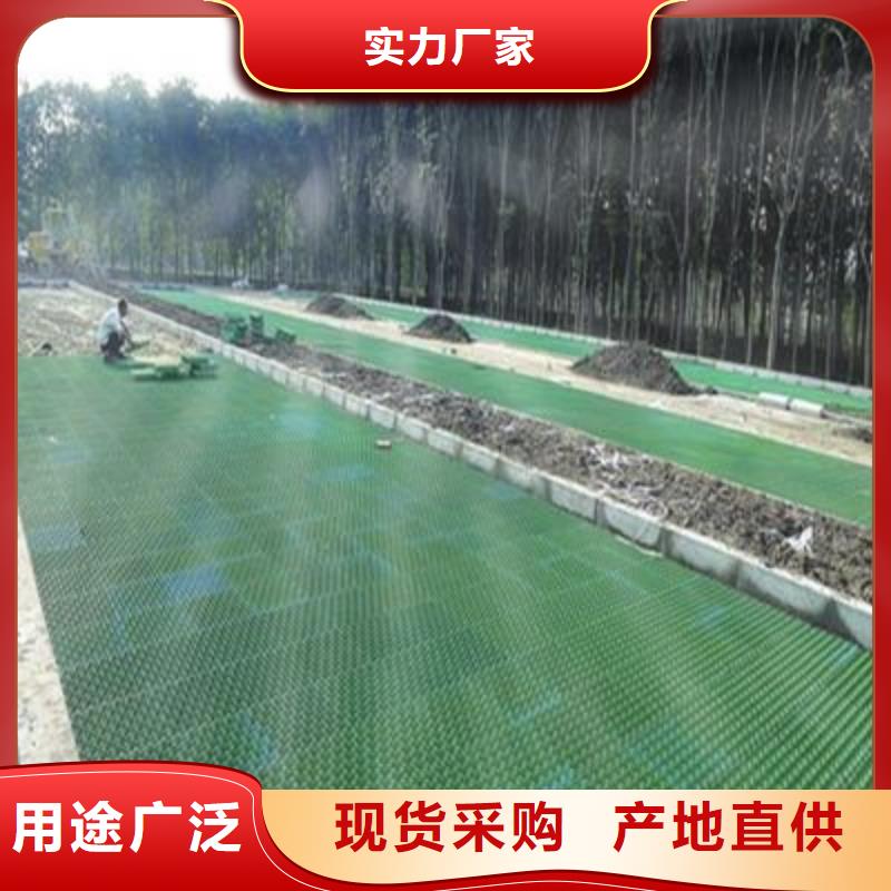 植草格HDPE土工膜服務周到生產加工