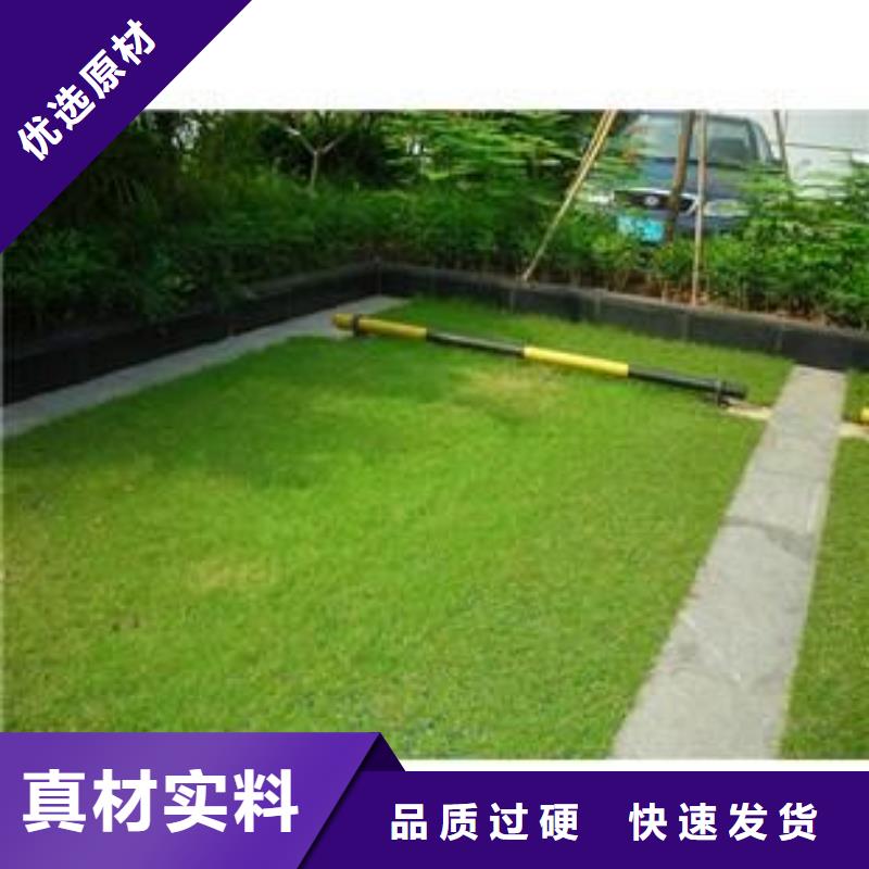 植草格,防滲膜一手價格廠家售后完善