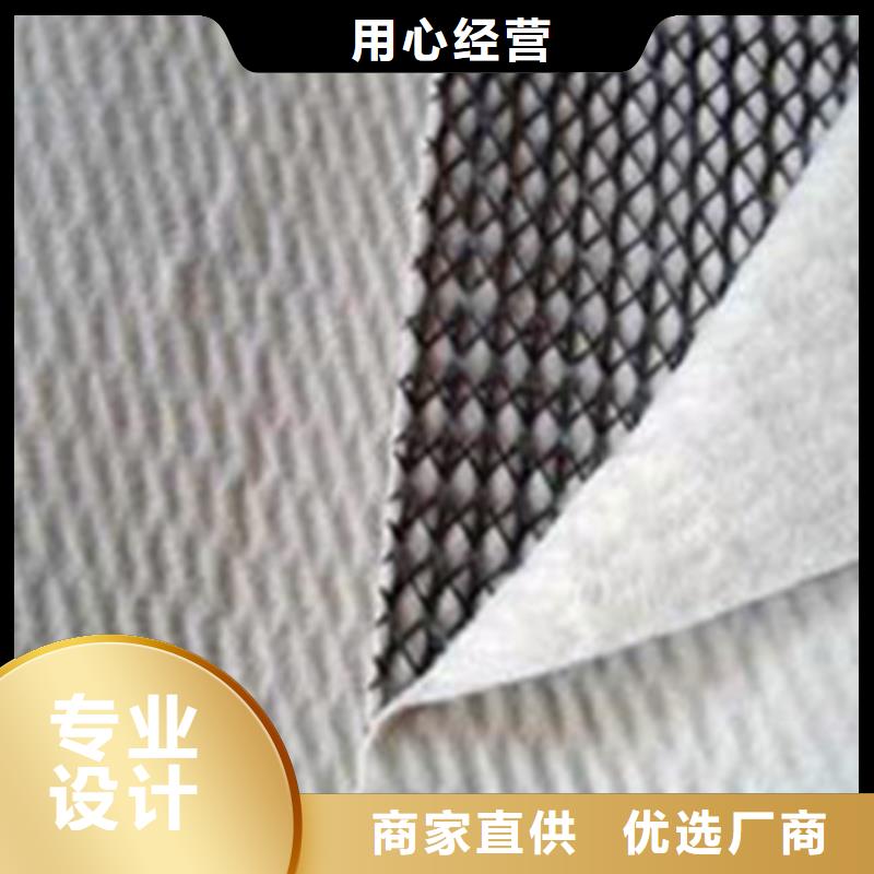 三維復合排水網土工格室批發價格當地廠家