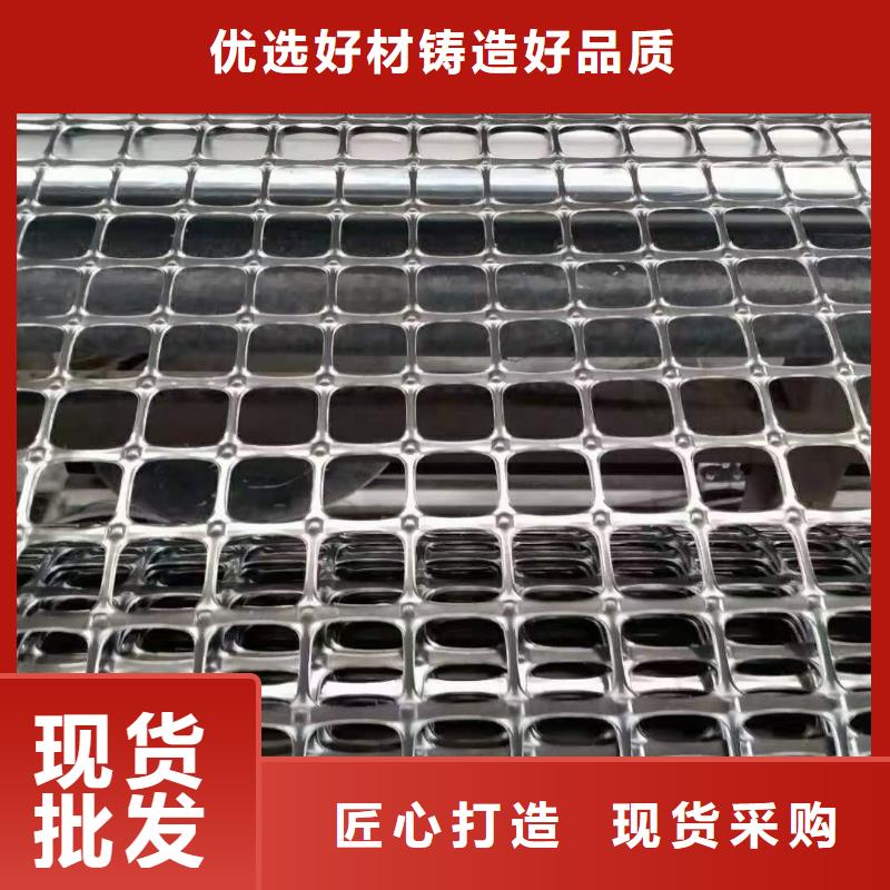 塑料土工格柵雙向塑料土工格柵款式新穎批發貨源