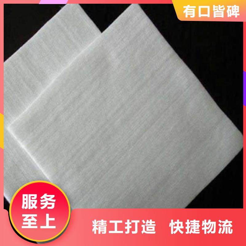 土工布-玻纖土工格柵產品細節廠家技術完善